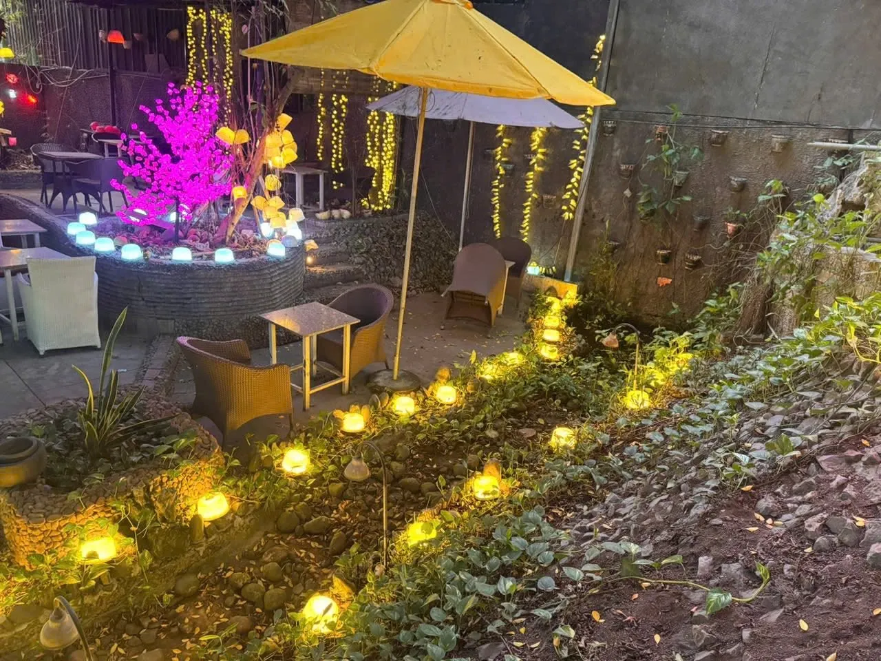 SANG GẤP QUÁN CÀ PHÊ SÂN VƯỜN MT TAM BÌNH, THỦ ĐỨC – DIỆN TÍCH KHỦNG GẦN 1.300M², GIÁ THUÊ SIÊU RẺ 29TR - Ảnh 2