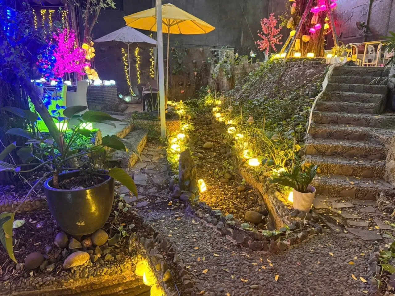 SANG GẤP QUÁN CÀ PHÊ SÂN VƯỜN MT TAM BÌNH, THỦ ĐỨC – DIỆN TÍCH KHỦNG GẦN 1.300M², GIÁ THUÊ SIÊU RẺ 29TR - Ảnh 4