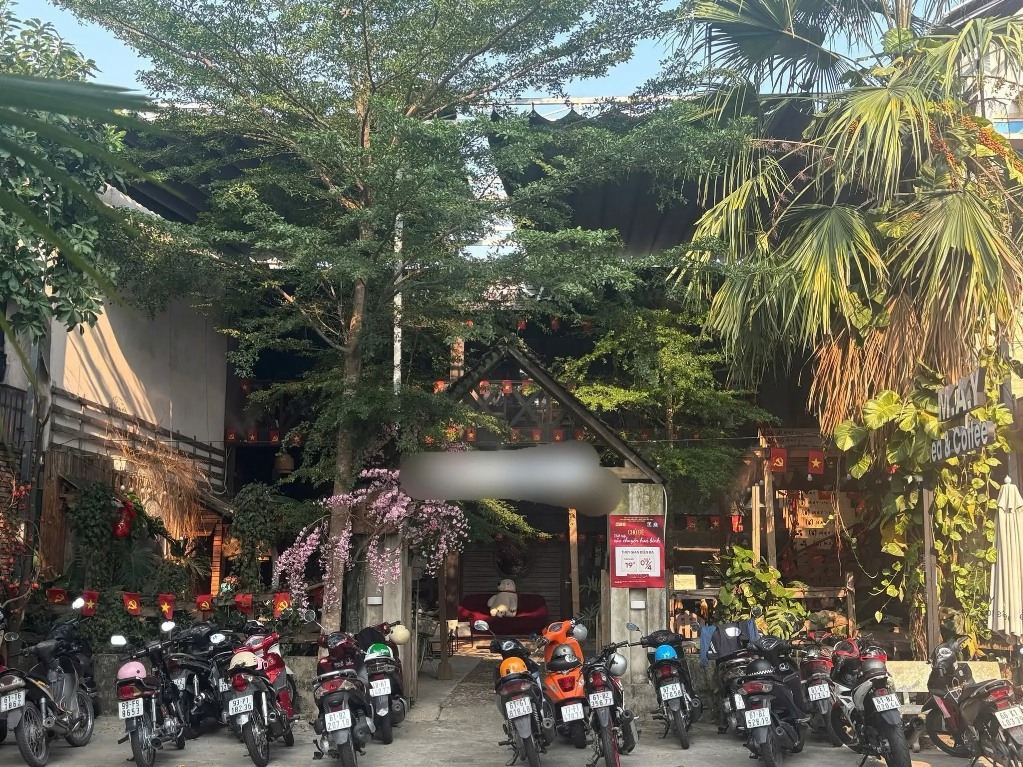 SANG GẤP QUÁN CÀ PHÊ TRUNG TÂM KDC PHÚ HÒA 1, THỦ DẦU MỘT – DIỆN TÍCH KHỦNG 300M², CÓ PHÒNG Ở LẠI