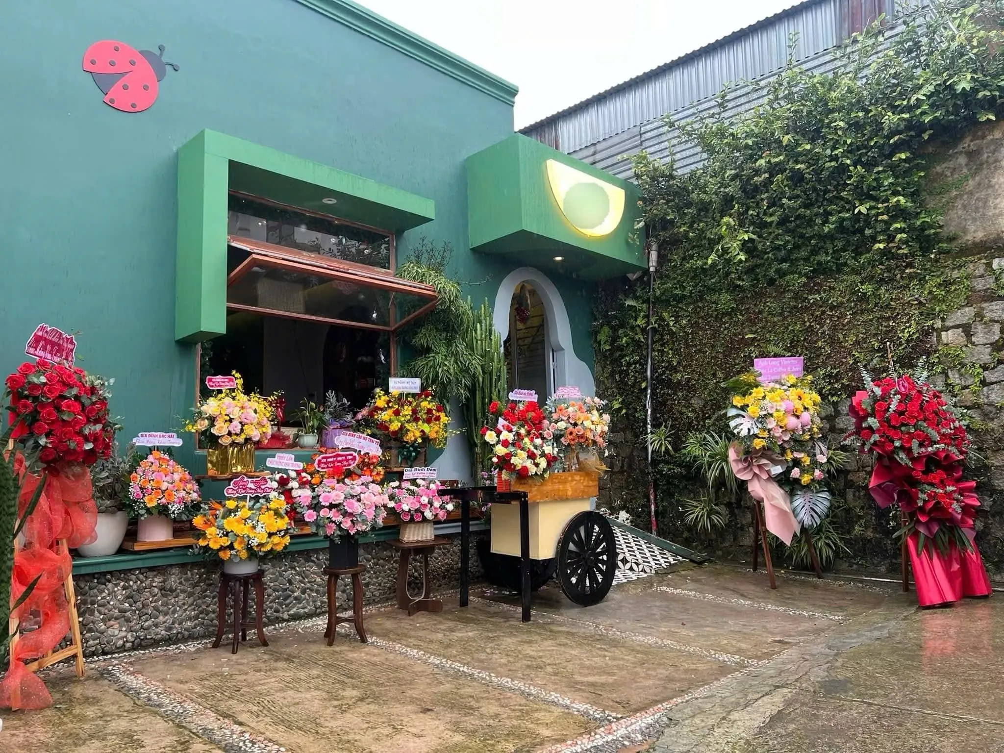 SANG GẤP QUÁN CAFE CHILL TRUNG TÂM ĐÀ LẠT – GIÁ THUÊ SIÊU RẺ 7TR, GIÁ SANG 70TR GỒM CỌC - Ảnh 2