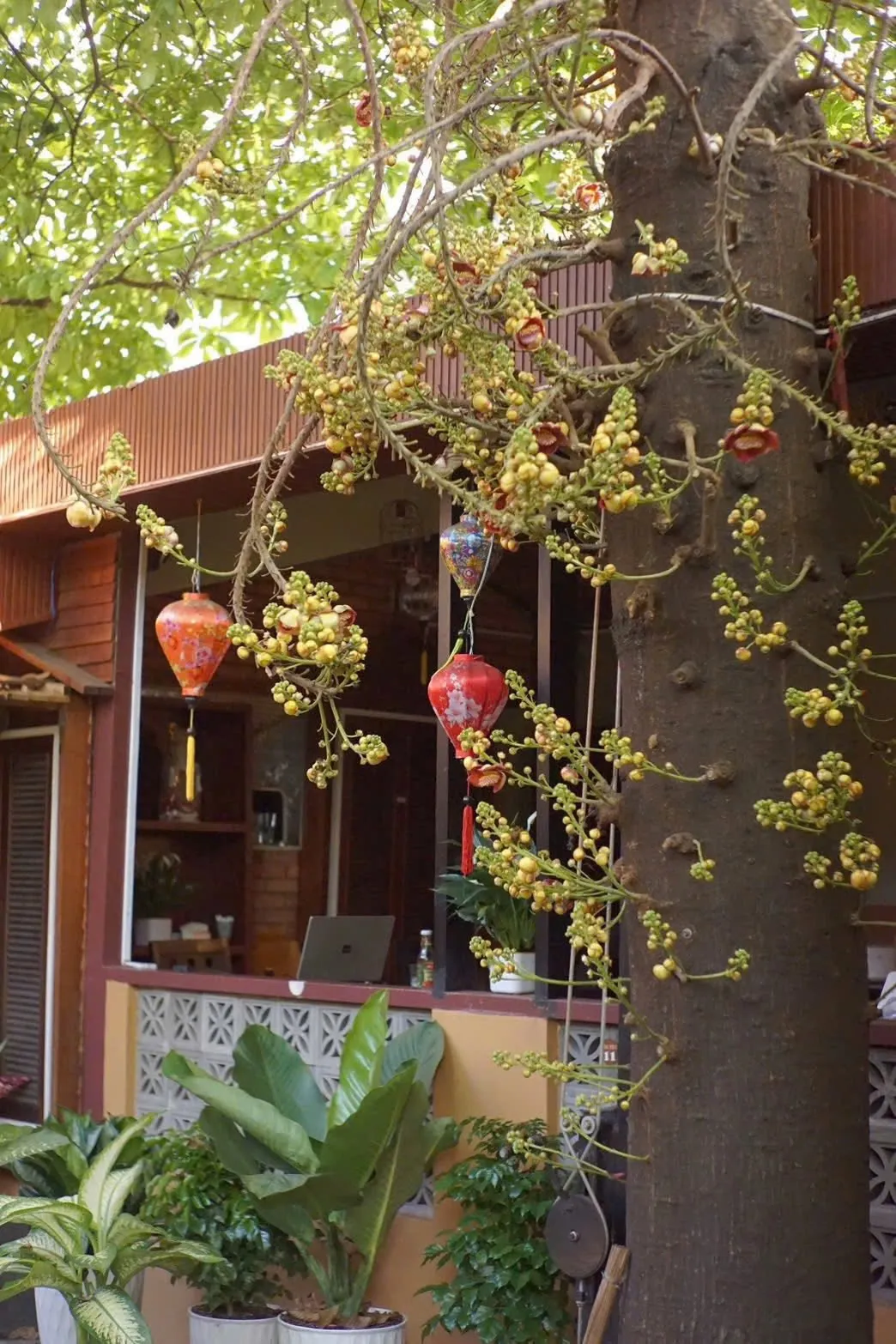 SANG NHƯỢNG QUÁN CAFE & NHÀ HÀNG CHAY TÂN PHÚ – DIỆN TÍCH KHỦNG 400M², HĐ DÀI HẠN 5 NĂM - Ảnh 3