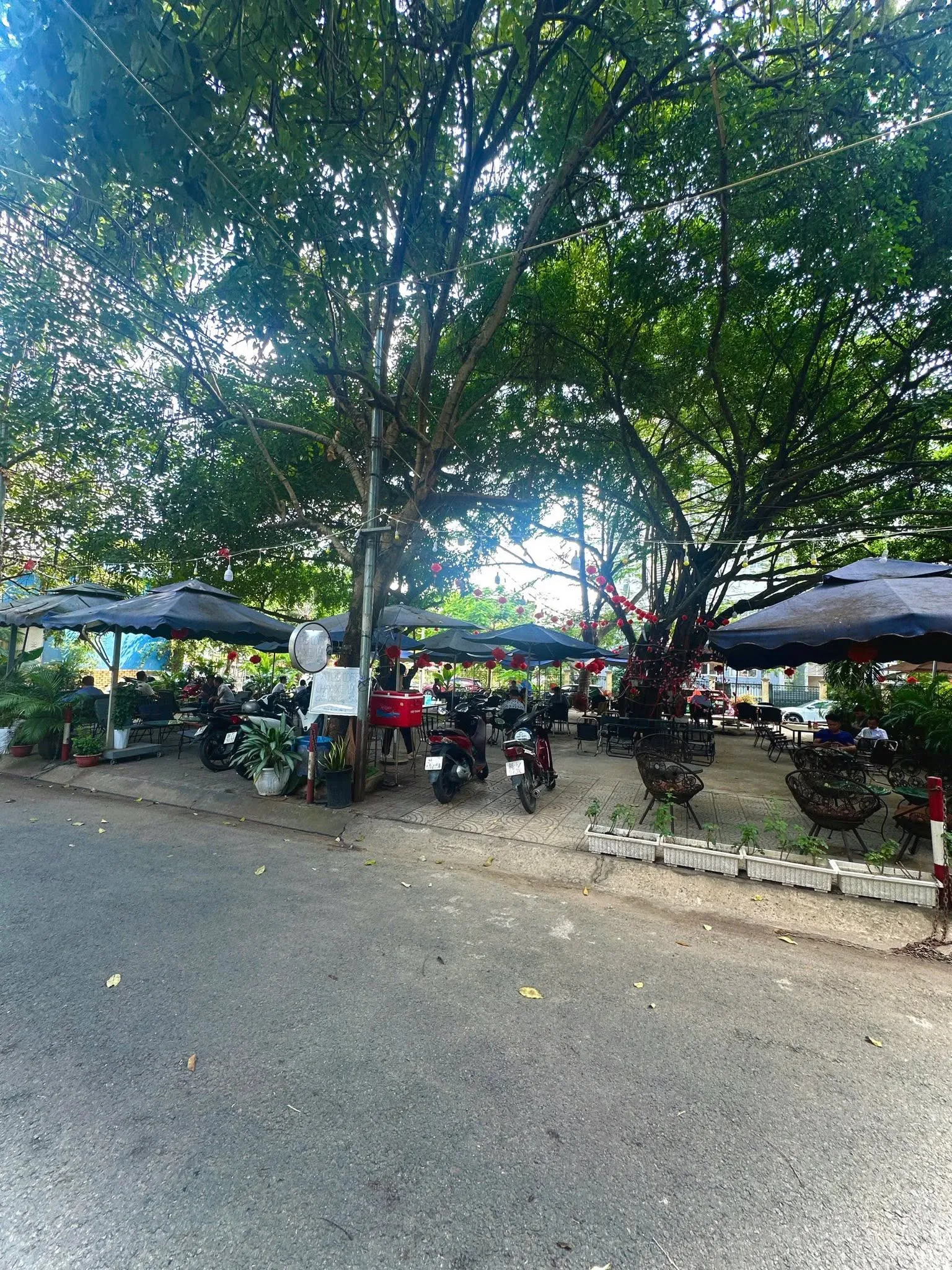 Sang quán cafe căn góc 450m2 tại Q9 (Thủ Đức), doanh thu 4.5tr/ngày, giá 400tr